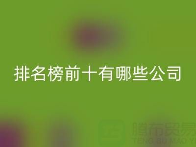 家纺辅料mk网页版厂家排名榜前十有哪些公司