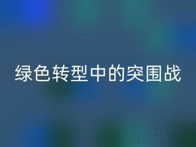 库存布料mk网页版公司：挑战与机遇并存，绿色转型中的突围战