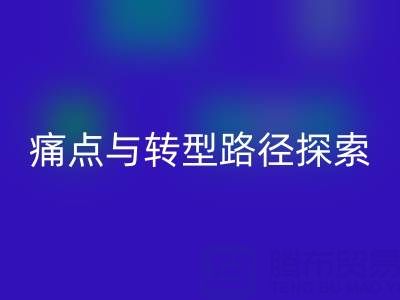 杭州库存布料mk网页版市场现状解析：痛点与转型路径探索