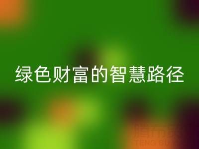 上海库存辅料mk网页版方式：变”沉睡资产”为绿色财富的智慧路径