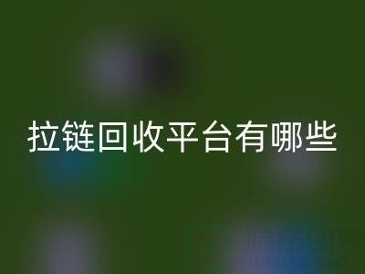 拉链mk网页版平台有哪些品牌？探索环保mk网页版的领先企业