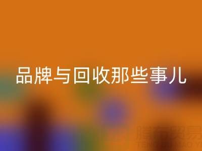 探寻油漆涂料世界：知名品牌与mk网页版那些事儿
