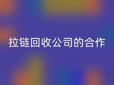 跨境电商时代：拉链mk网页版公司的国际合作与交流新路径