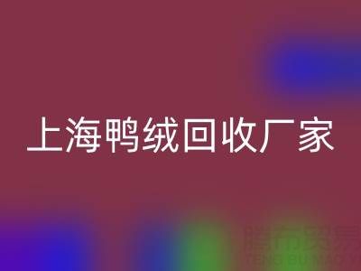 羽绒被内胆布料选购指南：上海鸭绒mk网页版厂家的专业建议