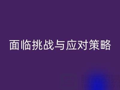 库存染料mk网页版公司面临的挑战与应对策略